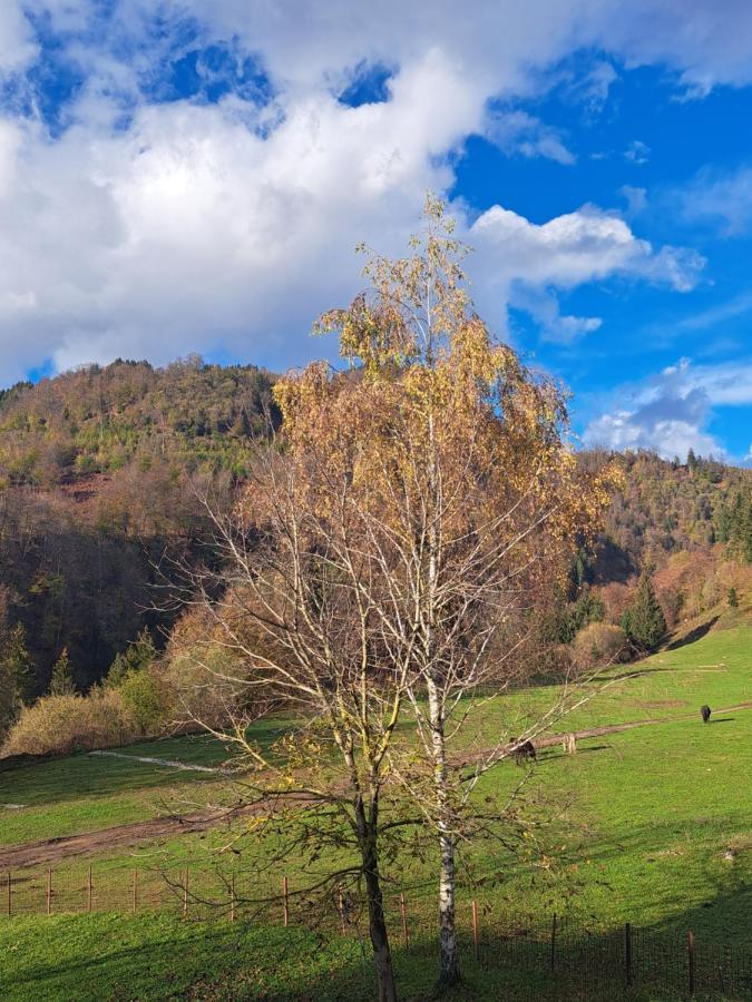 Greenriver Apartment Spodnje Gorje Екстер'єр фото