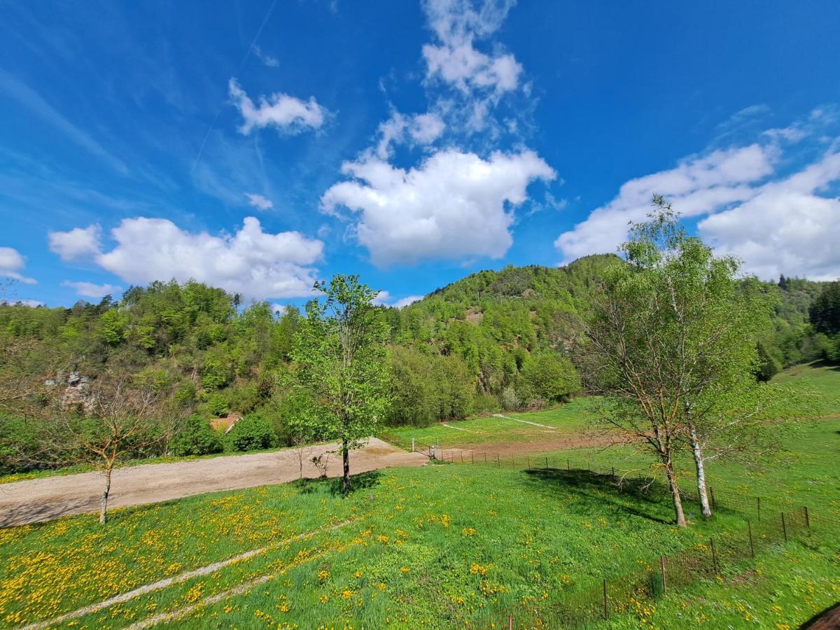 Greenriver Apartment Spodnje Gorje Екстер'єр фото